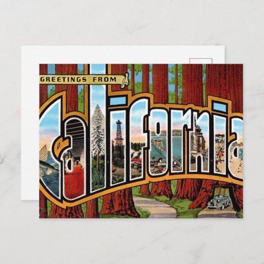  Californische sequoia's Briefkaart (Voorkant / Achterkant)