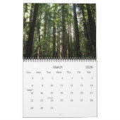 Californische sequoia's kalender 2012 (Mar 2026)