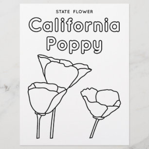 Californische staat bloem papaver flyer