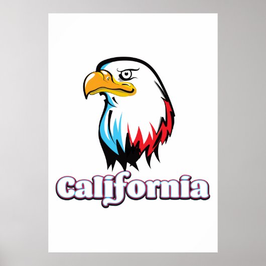 Californische steenarend poster (Voorkant)