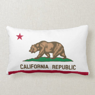 Californische vlag kussen