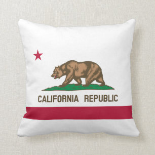 Californische vlag kussen