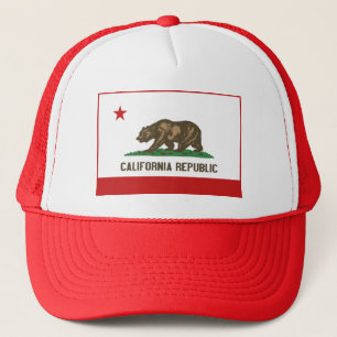 Californische vlag Pet