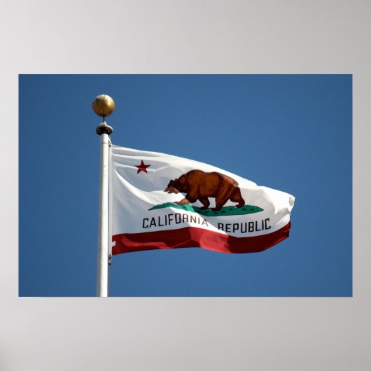 Californische vlag poster (Voorkant)
