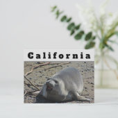 Californische Vrouw Elephant Seal Ocean Animal Briefkaart (Staand voorkant)