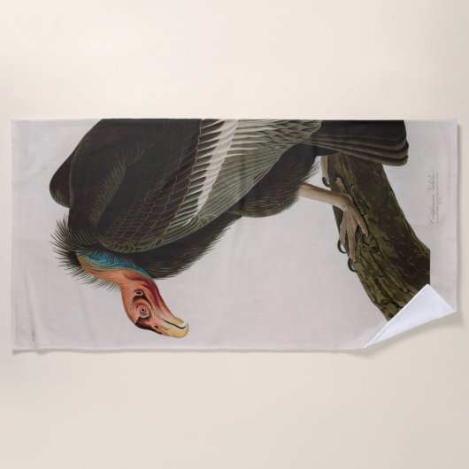 Californische Vulture Birds of America Audubon Pri Strandlaken (Voorkant)