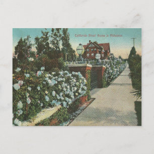 Californische winter Briefkaart