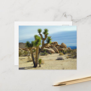 Californische woestijn Succulents, Rocks & Clear S Briefkaart