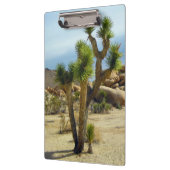 Californische woestijn Succulents, Rocks & Clear S Klembord (Links)