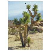 Californische woestijn Succulents, Rocks & Clear S Klembord (Achterkant)