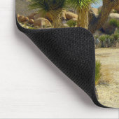 Californische woestijn Succulents, Rocks & Clear S Muismat (Hoek)