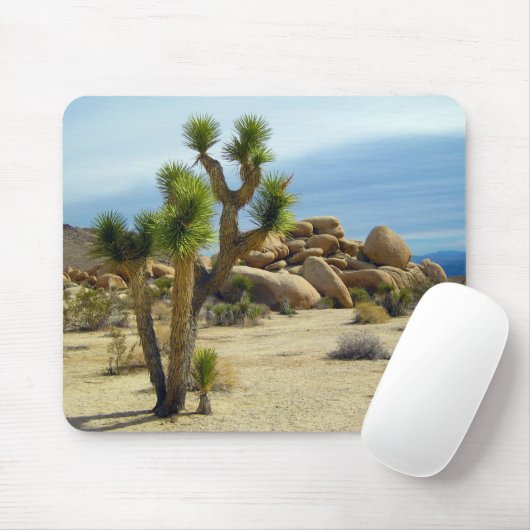 Californische woestijn Succulents, Rocks & Clear S Muismat (Met muis)
