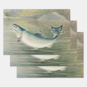 Californische zalm door S.A. Kilbourne, Vintage vi Inpakpapier Vel