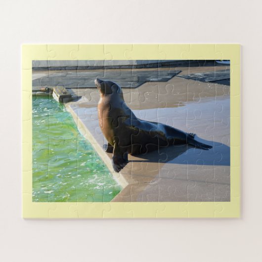 Californische zee leeuw legpuzzel (Horizontaal)
