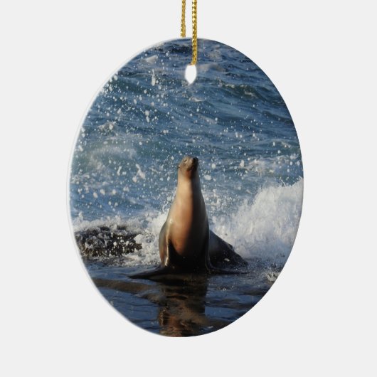 Californische zee leeuw, wilde dieren, keramische  keramisch ornament (Rechts)