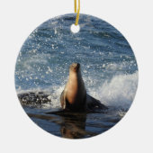 Californische zee leeuw, wilde dieren, keramische  keramisch ornament (Voorkant)