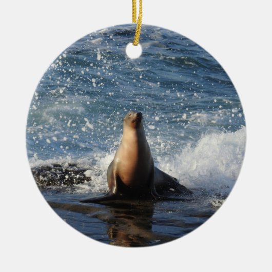 Californische zee leeuw, wilde dieren, keramische  keramisch ornament (Voorkant)