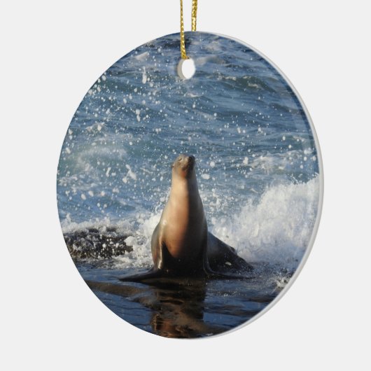 Californische zee leeuw, wilde dieren, keramische  keramisch ornament (Links)