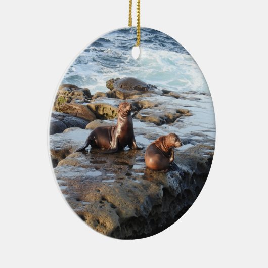 Californische zee leeuwen, wilde dieren, keramisch keramisch ornament (Rechts)