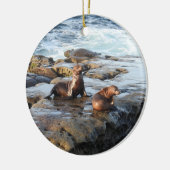 Californische zee leeuwen, wilde dieren, keramisch keramisch ornament (Links)