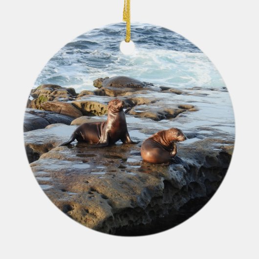 Californische zee leeuwen, wilde dieren, keramisch keramisch ornament (Achterkant)