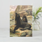  Californische Zee Lions door CE Swan (Staand voorkant)