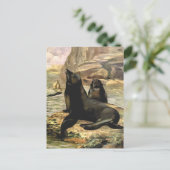  Californische Zee Lions door CE Swan Briefkaart (Staand voorkant)