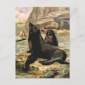  Californische Zee Lions door CE Swan Briefkaart (Voorkant)