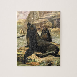 Californische Zee Lions door CE Swan Legpuzzel