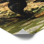  Californische Zee Lions door CE Swan Poster (Hoek)