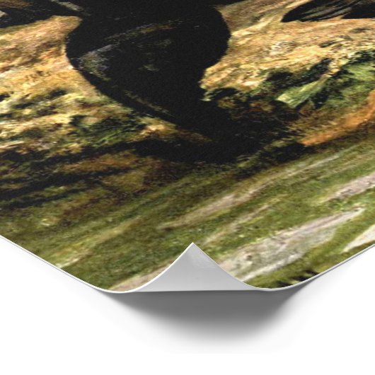 Californische Zee Lions door CE Swan Poster (Hoek)