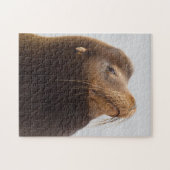 Californische zeeleeuw legpuzzel (Horizontaal)