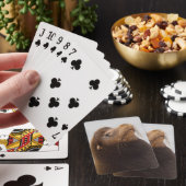 Californische zeeleeuw pokerkaarten (Insitu)