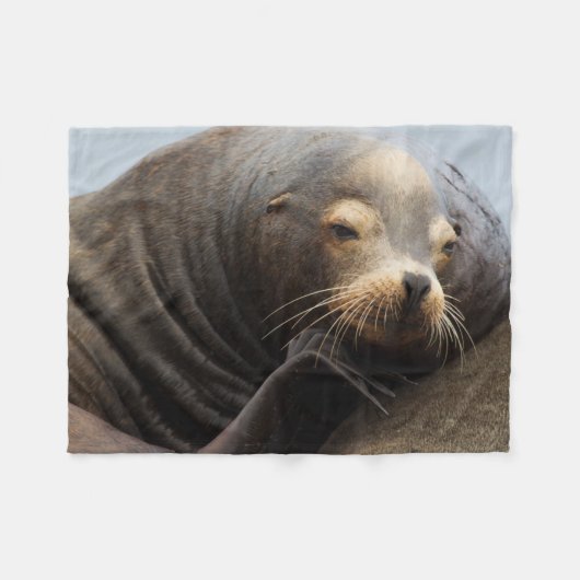 Californische zeeleeuw rustend fleece deken (Voorkant (Horizontaal))