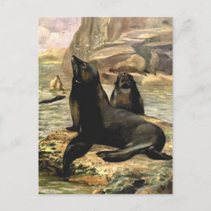 Californische zeeleeuwen door CE Swan, Vintage Die Briefkaart