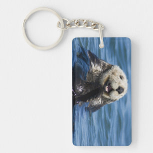Californische zeeotter (Enhydra lutris) verzorgt z Sleutelhanger