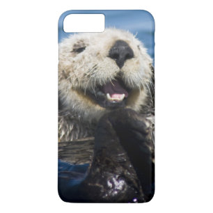Californische Zeeotter Enhydra lutris) verzorgt zi iPhone 8/7 Plus Hoesje