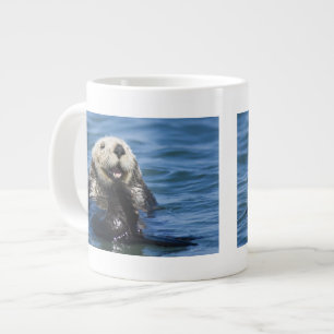 Californische Zeeotter Enhydra lutris) verzorgt zi Grote Koffiekop
