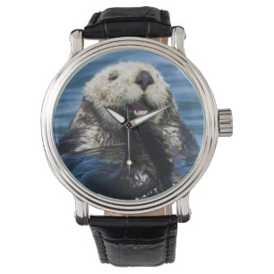 Californische Zeeotter Enhydra lutris) verzorgt zi Horloge