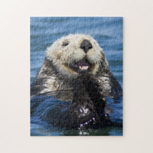 Californische Zeeotter Enhydra lutris) verzorgt zi Legpuzzel