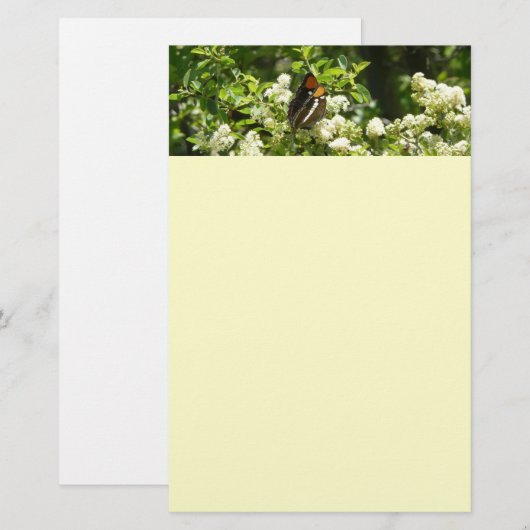 Californische zuster Butterfly in Yosemite Briefpapier (Voorkant / Achterkant)
