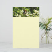 Californische zuster Butterfly in Yosemite Briefpapier (Staand voorkant)