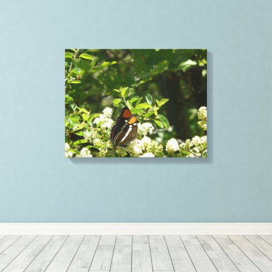 Californische zuster Butterfly in Yosemite Canvas Afdruk (Insitu (Houten vloer))