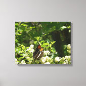 Californische zuster Butterfly in Yosemite Canvas Afdruk (Voorkant)