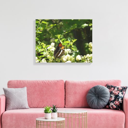 Californische zuster Butterfly in Yosemite Canvas Afdruk (Insitu (Woonkamer))