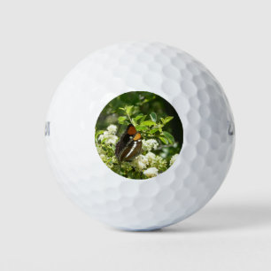Californische zuster Butterfly in Yosemite Golfballen