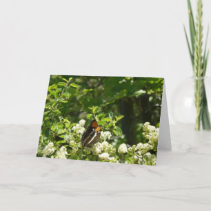 Californische zuster Butterfly in Yosemite Kaart