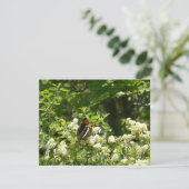 Californische zuster Butterfly in Yosemite Kaart (Staand voorkant)