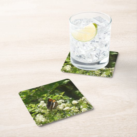 Californische zuster Butterfly in Yosemite Kartonnen Onderzetters (Insitu)