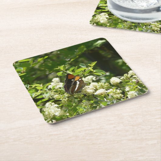 Californische zuster Butterfly in Yosemite Kartonnen Onderzetters (Schuin)